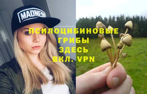 герыч Алексеевка