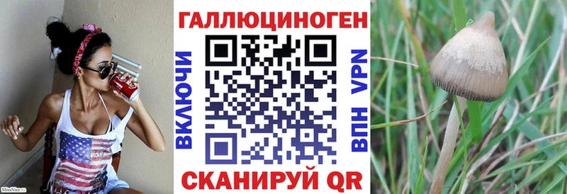 Галлюциногенные грибы Psilocybine cubensis  Козловка 
